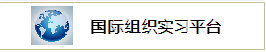 国际实习